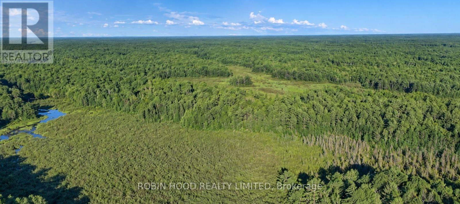 4501 Upper Big Chute Road, Severn photo 6