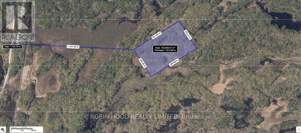 4501 Upper Big Chute Road, Severn photo 4
