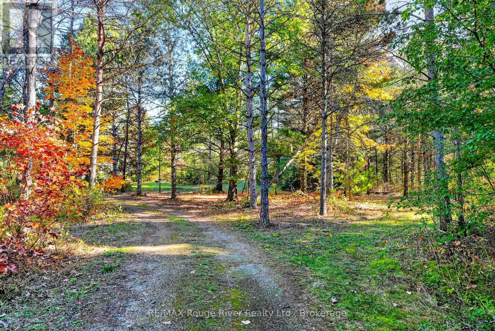 8999 GLENDALE Drive, Hamilton Township, ON photo 5