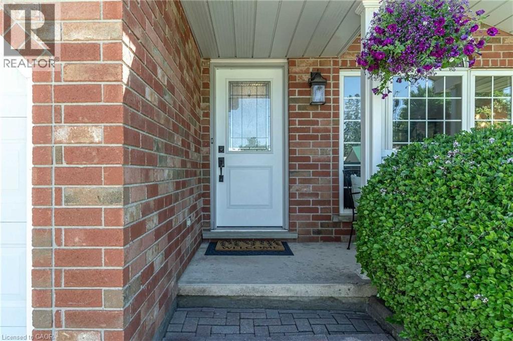 125 JELLY Street - 3