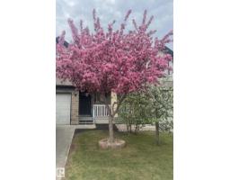 51 Vaughn Av, Spruce Grove, AB T7X4R9 Photo 58