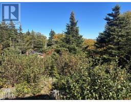 Lot 0 Pikes Road thumbnail 10