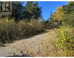 Lot 0 Pikes Road thumbnail 11
