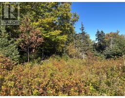Lot 0 Pikes Road thumbnail 12
