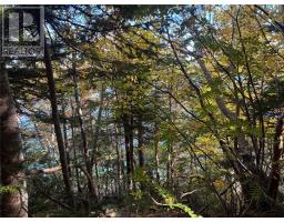Lot 0 Pikes Road thumbnail 4