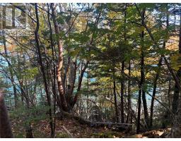 Lot 0 Pikes Road thumbnail 5