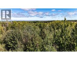 Lot 79-9 De La Traverse, photo 18
