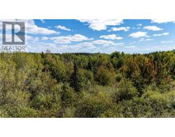 Lot 79-10 De La Traverse, photo 23