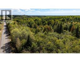Lot 79-10 De La Traverse, photo 24