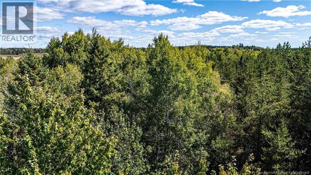 Lot 79-6 De La Traverse photo 2