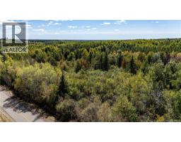 Lot 79-6 De La Traverse, photo 23