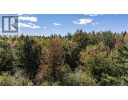Lot 79-7 De La Traverse, photo 22