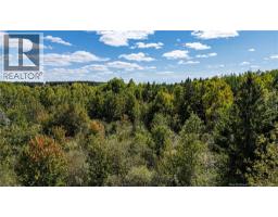 Lot 79-7 De La Traverse, photo 20