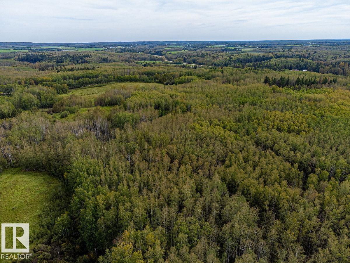 5430 TWP ROAD 494, Rural Brazeau County — photo 17