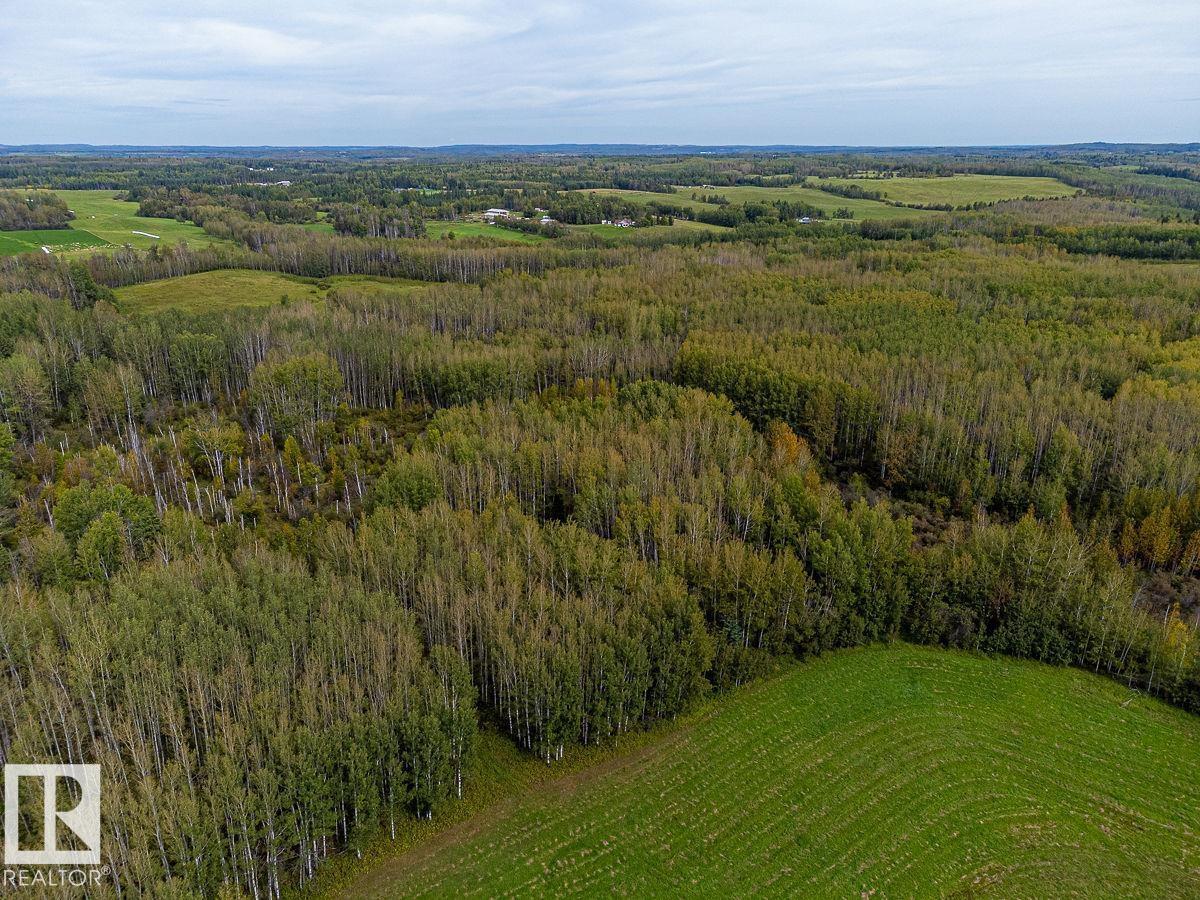 5430 TWP ROAD 494, Rural Brazeau County — photo 20