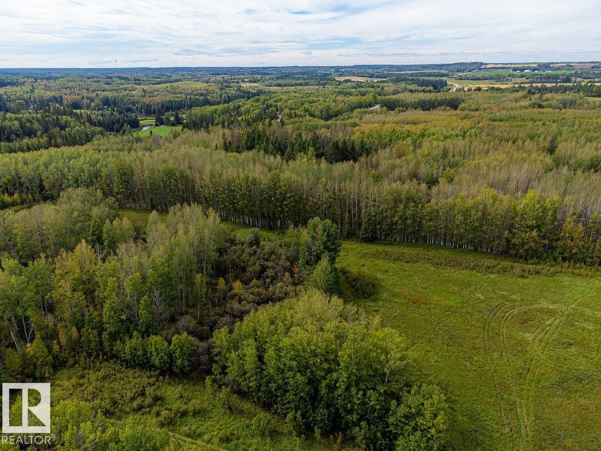 5430 TWP ROAD 494, Rural Brazeau County — photo 7
