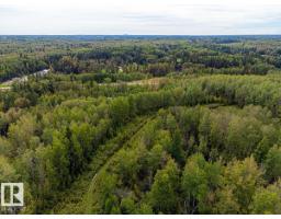 5430 Twp Road 494, Rural Brazeau County, AB T0C1W0 Photo 10