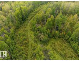5430 Twp Road 494, Rural Brazeau County, AB T0C1W0 Photo 11
