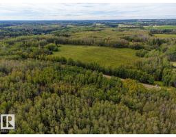 5430 Twp Road 494, Rural Brazeau County, AB T0C1W0 Photo 15