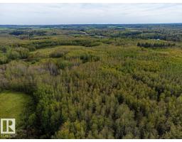 5430 Twp Road 494, Rural Brazeau County, AB T0C1W0 Photo 17