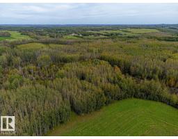 5430 Twp Road 494, Rural Brazeau County, AB T0C1W0 Photo 20