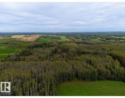 5430 Twp Road 494, Rural Brazeau County, AB T0C1W0 Photo 21