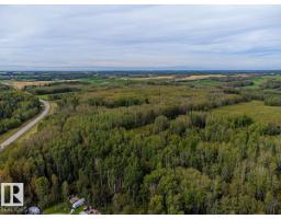 5430 Twp Road 494, Rural Brazeau County, AB T0C1W0 Photo 22