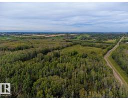5430 Twp Road 494, Rural Brazeau County, AB T0C1W0 Photo 23