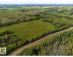 5430 Twp Road 494, Rural Brazeau County, AB T0C1W0 Photo 25