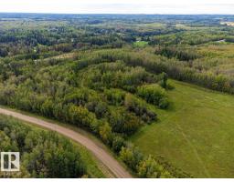 5430 Twp Road 494, Rural Brazeau County, AB T0C1W0 Photo 26