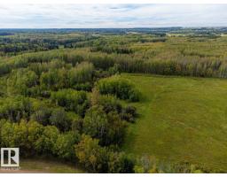 5430 Twp Road 494, Rural Brazeau County, AB T0C1W0 Photo 6