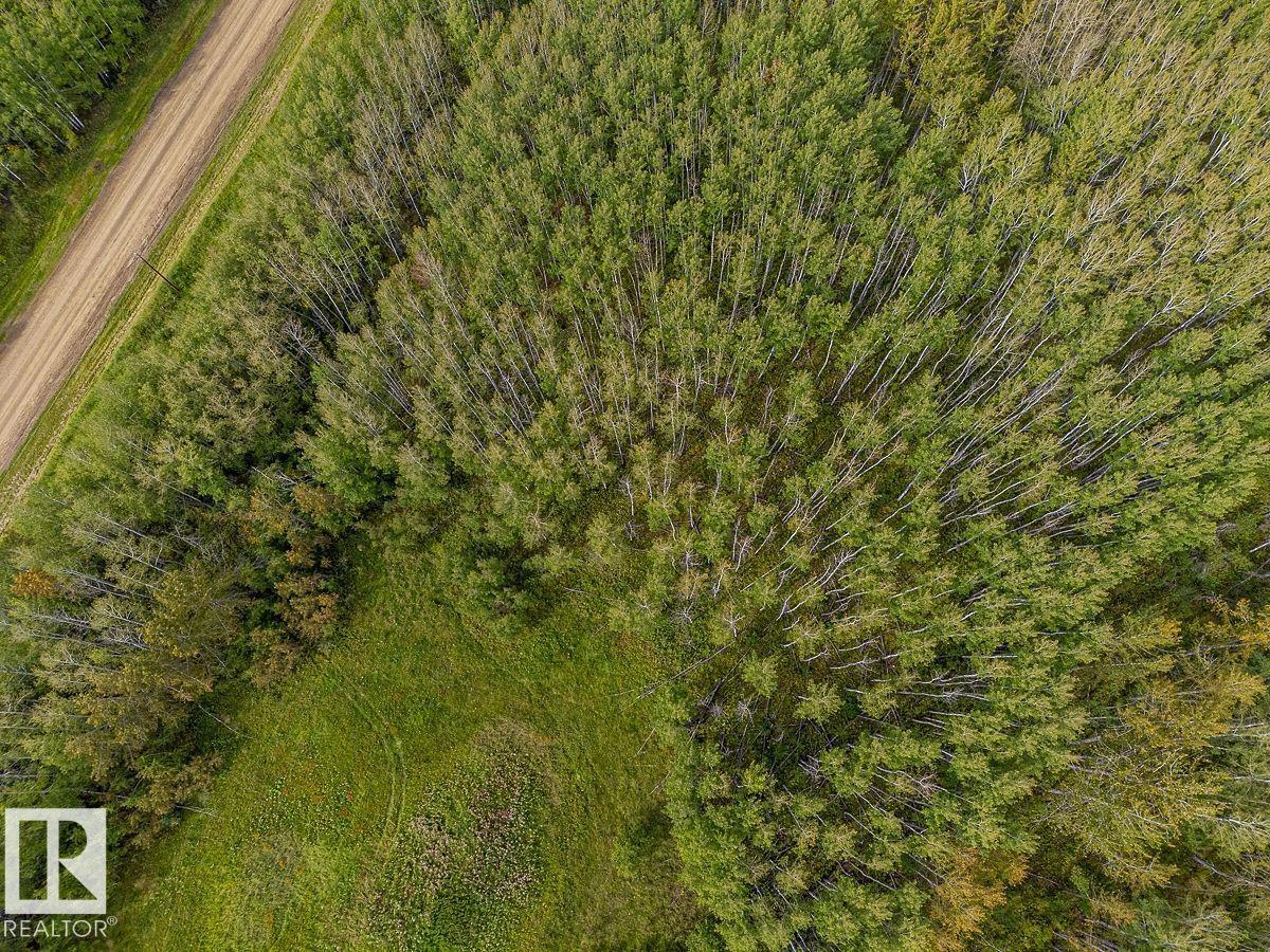 SW-29-49-5-W5, Rural Brazeau County — photo 24