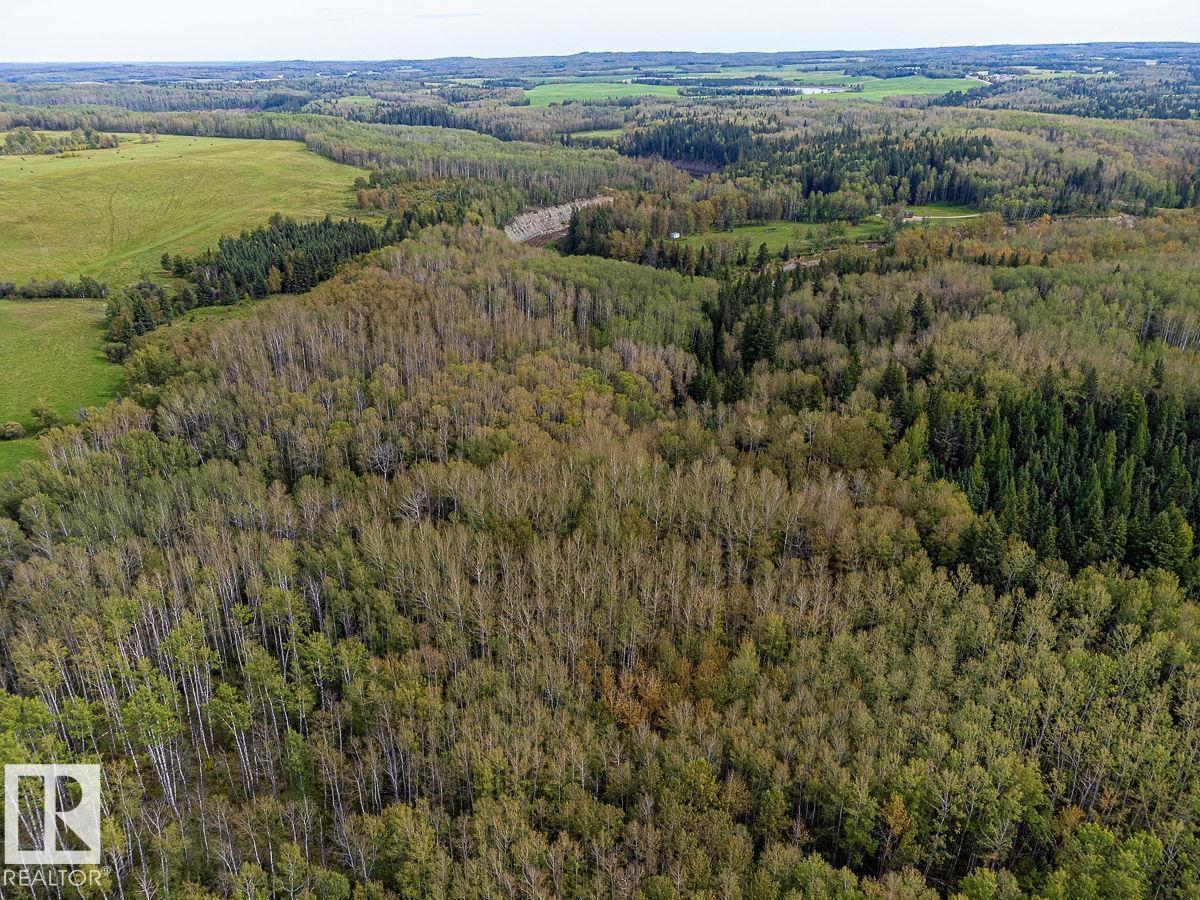 SW-29-49-5-W5, Rural Brazeau County — photo 27