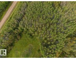 Sw-29-49-5-w5, Rural Brazeau County, AB T0C1W0 Photo 24