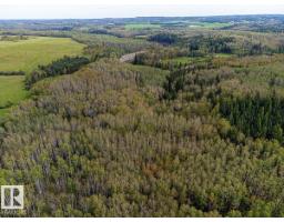 Sw-29-49-5-w5, Rural Brazeau County, AB T0C1W0 Photo 27