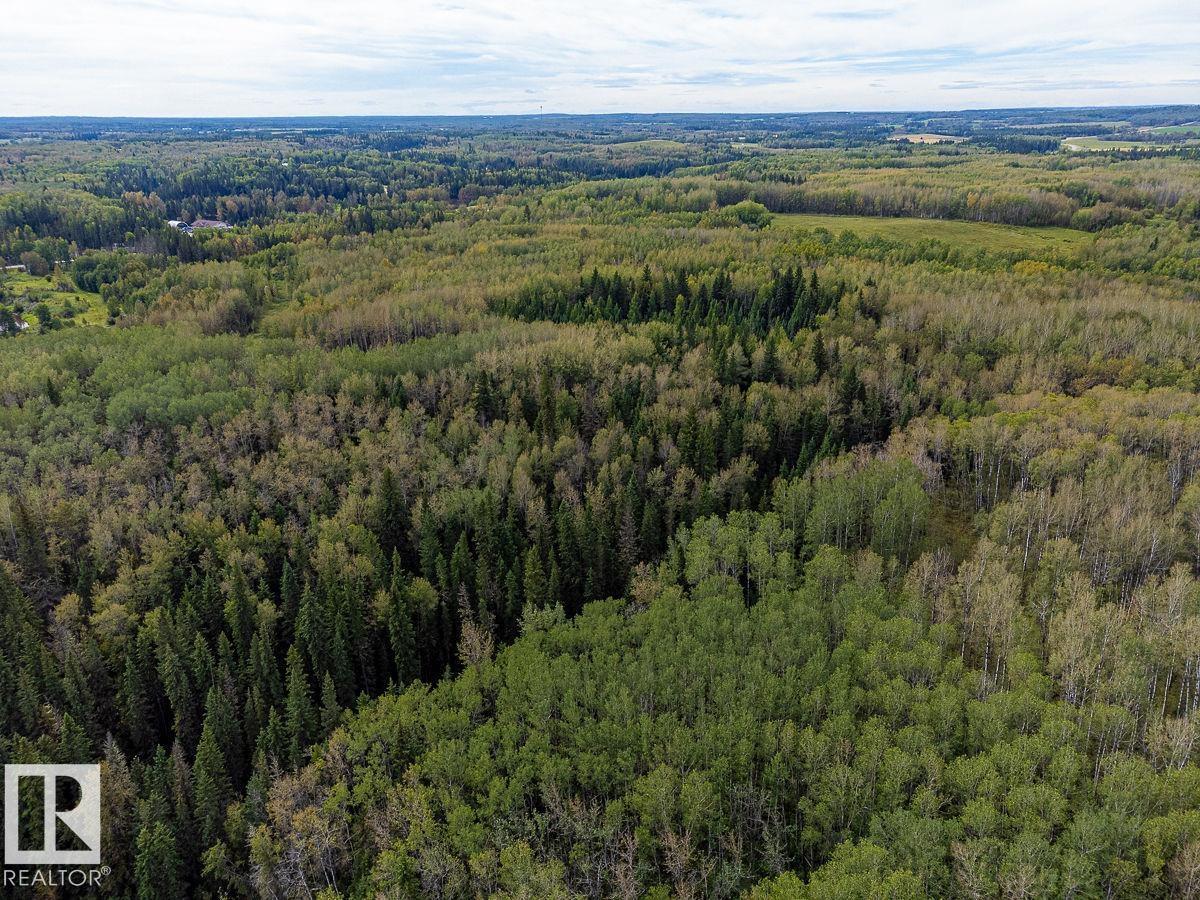 SW-29-49-5-W5, Rural Brazeau County — photo 16