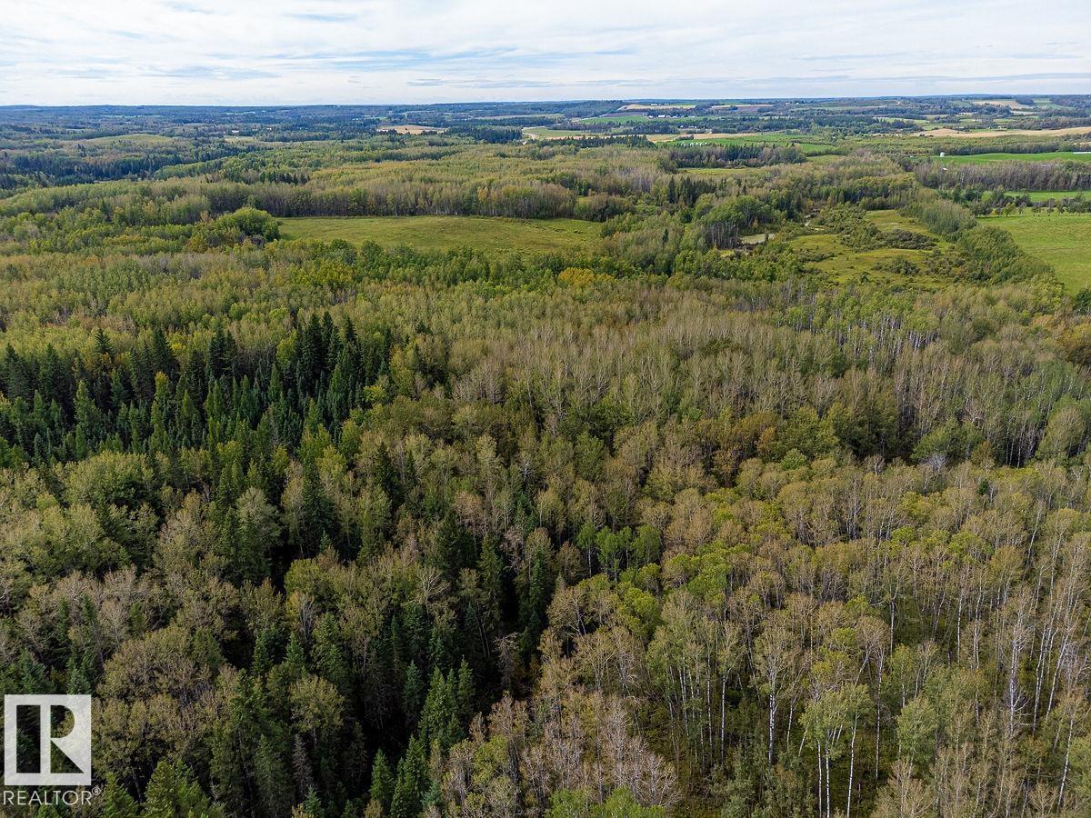 SW-29-49-5-W5, Rural Brazeau County — photo 17