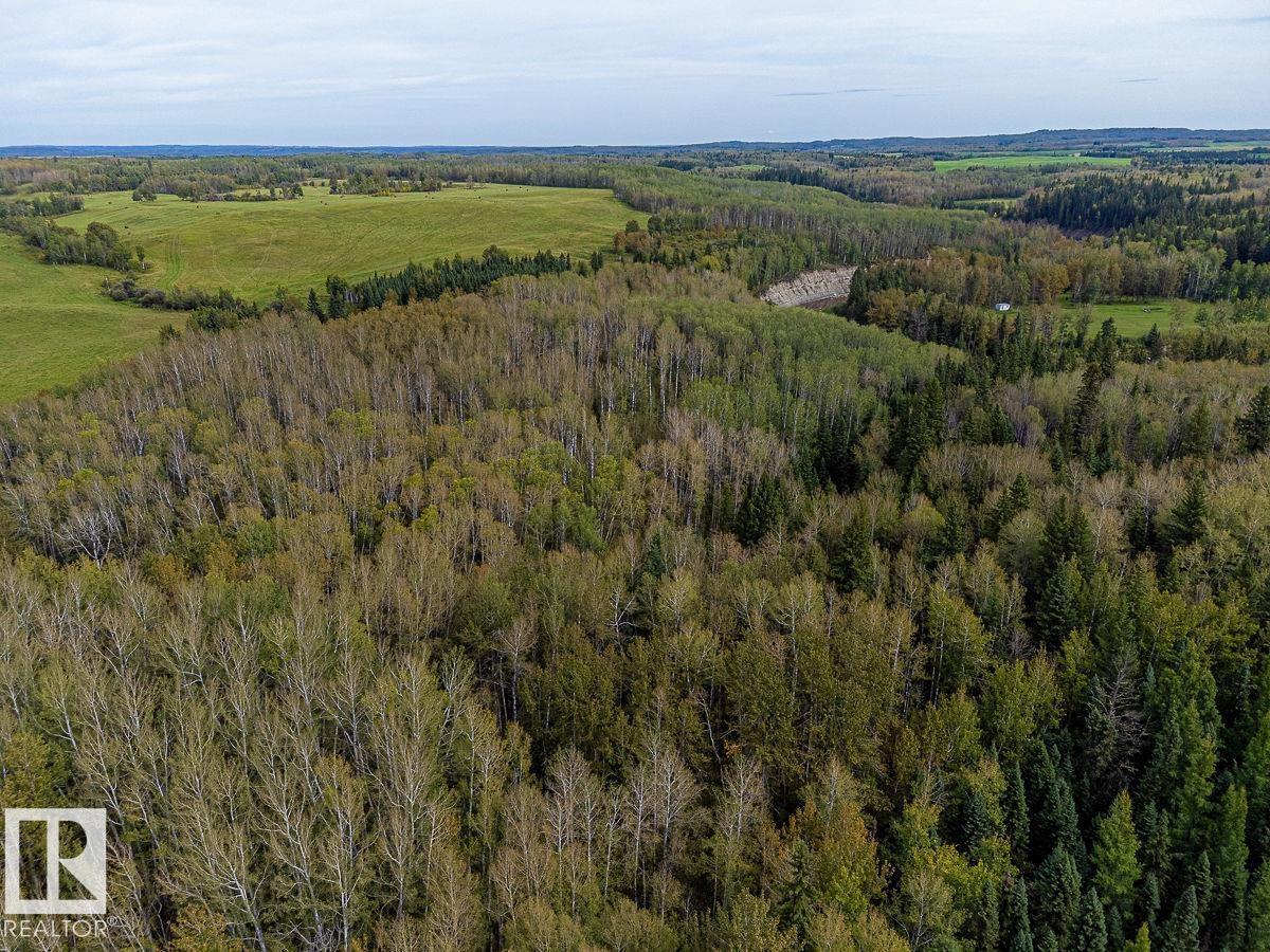 SW-29-49-5-W5, Rural Brazeau County — photo 7