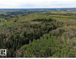 Sw-29-49-5-w5, Rural Brazeau County, AB T0C1W0 Photo 16