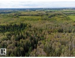Sw-29-49-5-w5, Rural Brazeau County, AB T0C1W0 Photo 17