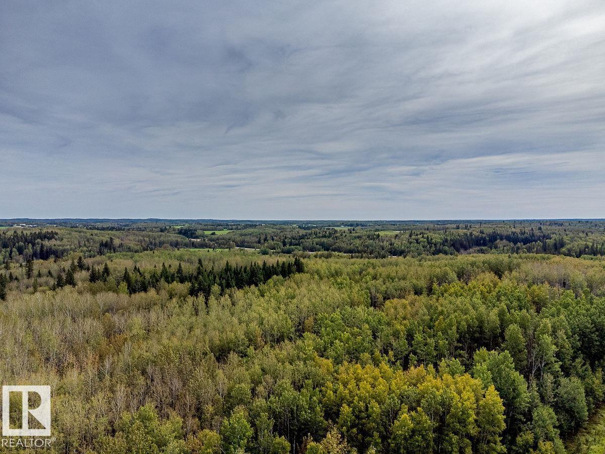 SW-29-49-5-W5, Rural Brazeau County — photo 4