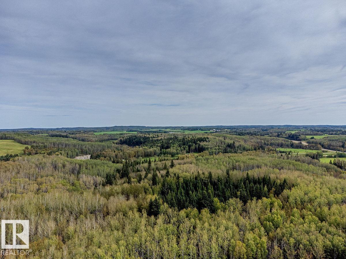 SW-29-49-5-W5, Rural Brazeau County — photo 5