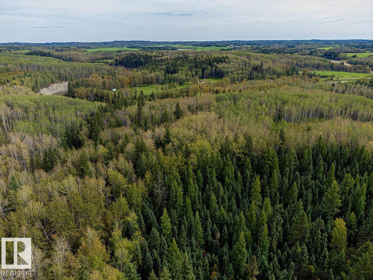 SW-29-49-5-W5, Rural Brazeau County — photo 6