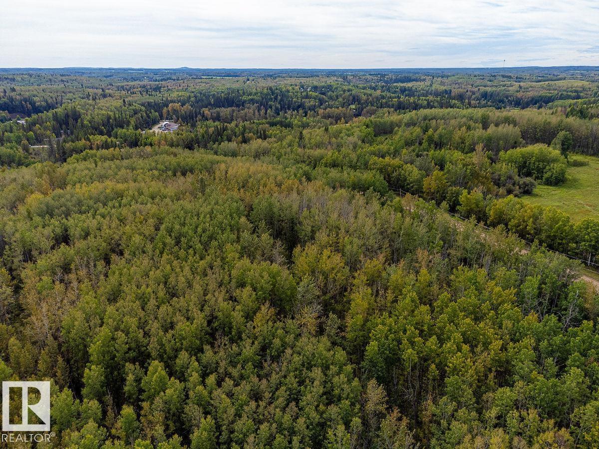 SW-29-49-5-W5, Rural Brazeau County — photo 8