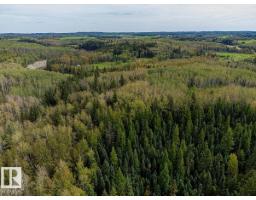 Sw-29-49-5-w5, Rural Brazeau County, AB T0C1W0 Photo 6
