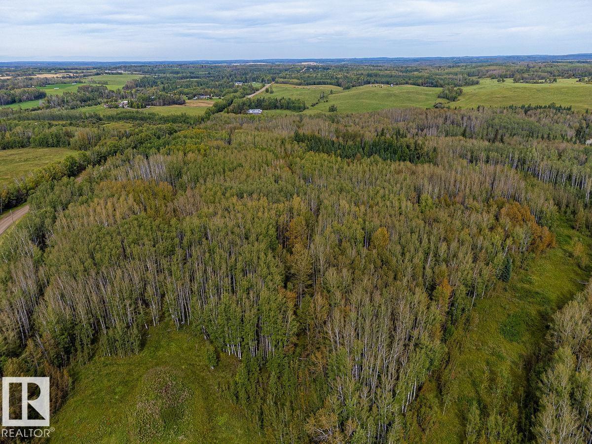 SW-29-49-5-W5, Rural Brazeau County — photo 11