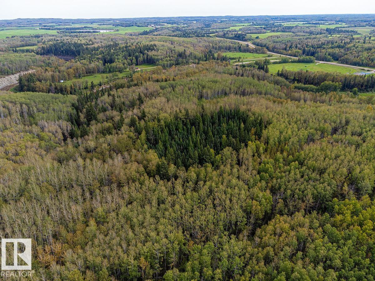 SW-29-49-5-W5, Rural Brazeau County — photo 26