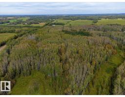 Sw-29-49-5-w5, Rural Brazeau County, AB T0C1W0 Photo 11