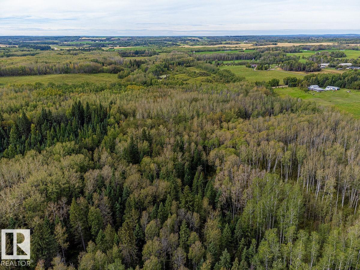 SW-29-49-5-W5, Rural Brazeau County — photo 14