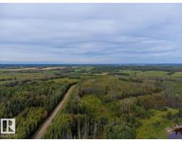 Sw-29-49-5-w5, Rural Brazeau County, AB T0C1W0 Photo 21